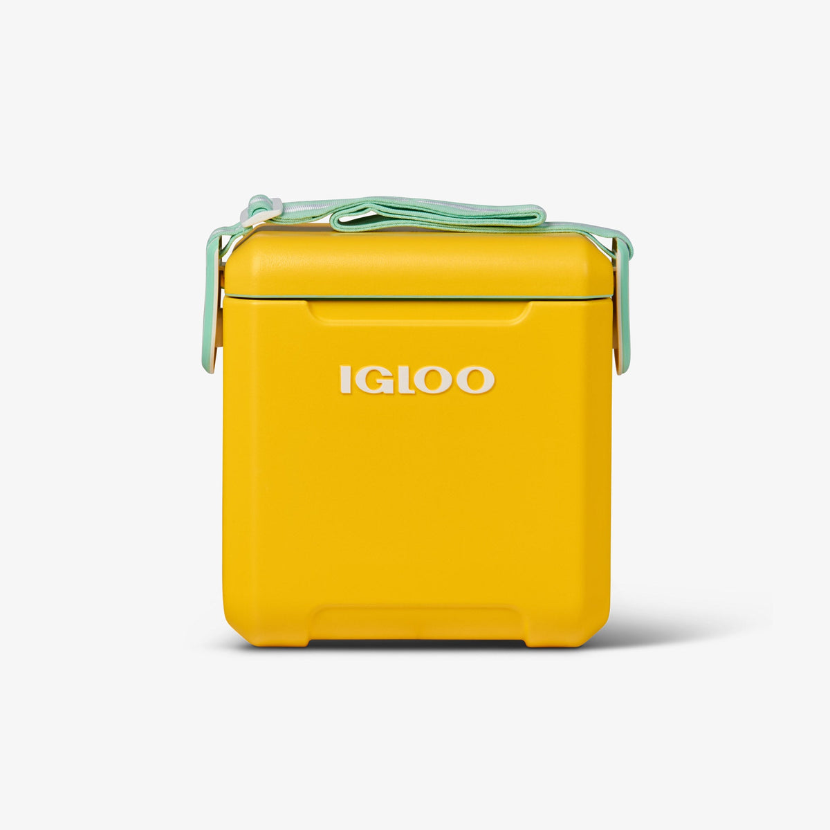 tag-along-too-cooler-t5 00032819_1.jpg